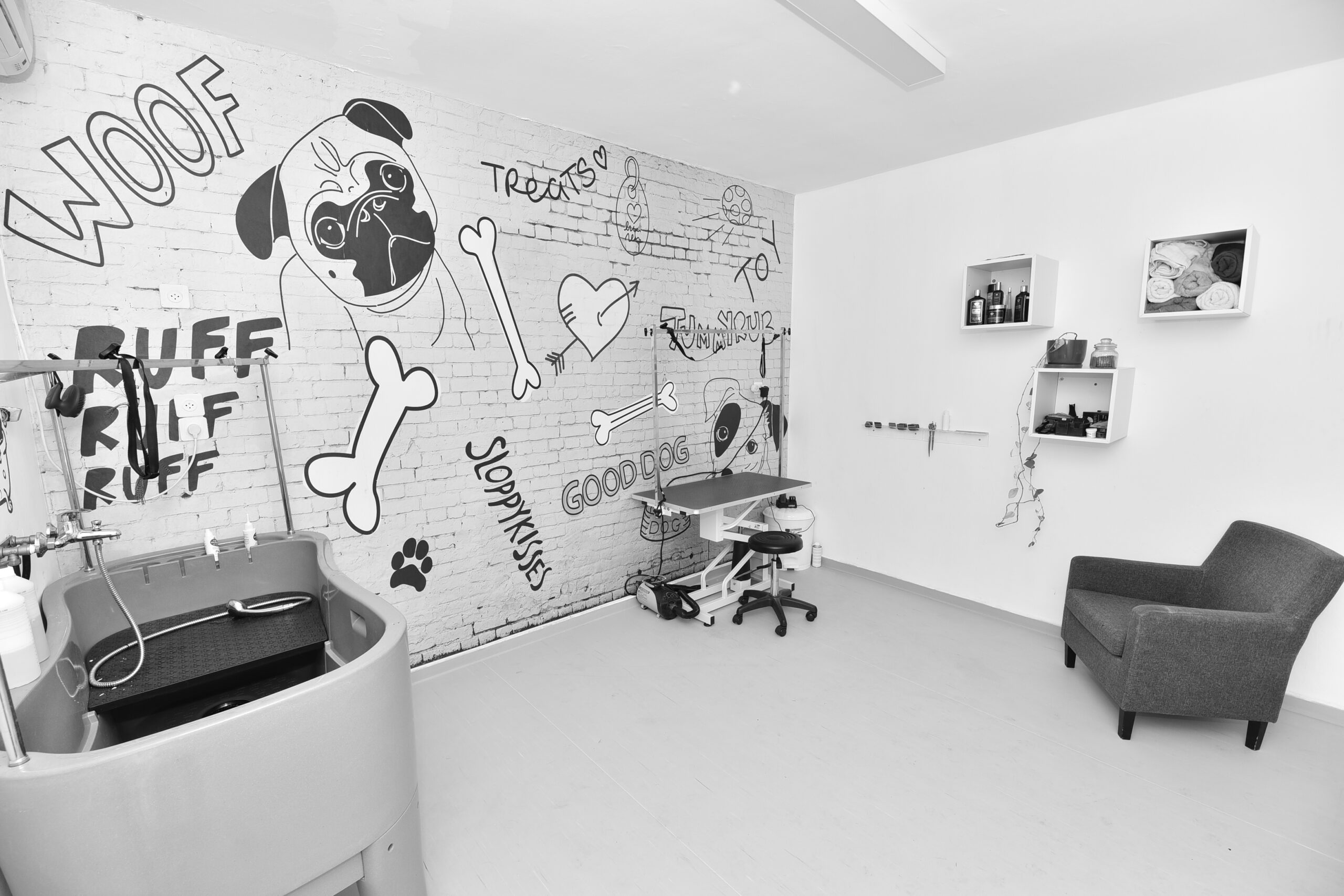 מספרת כלבים במרכז