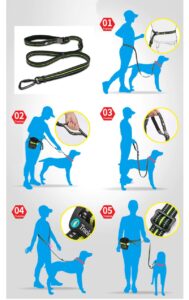 גן הכלבים של דוגספוט משנה התנהגות אצל כלבים בעייתיים