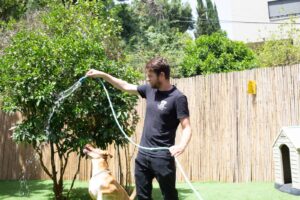 טיפול אישי לכלב עם המון אהבה