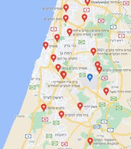 איך לבחור את הפנסיון הטוב ביותר לכלב שלכם?