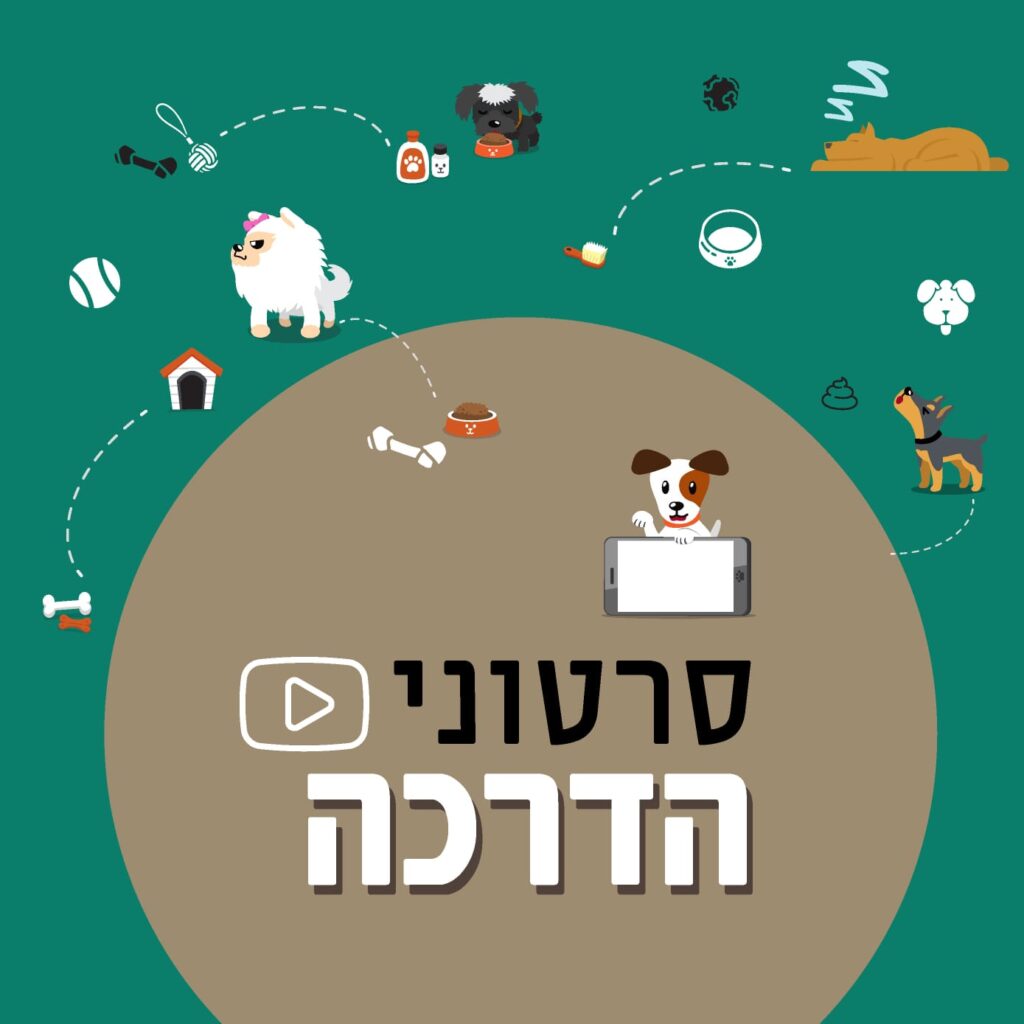 סרטוני הדרכה לבעלי כלבים בפנסיון