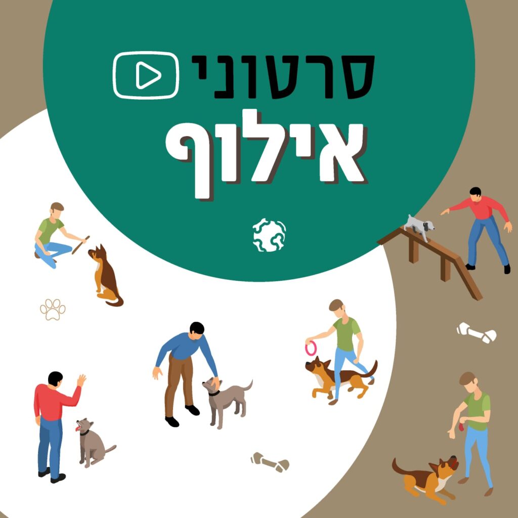 סרטוני אילוף כלבים
