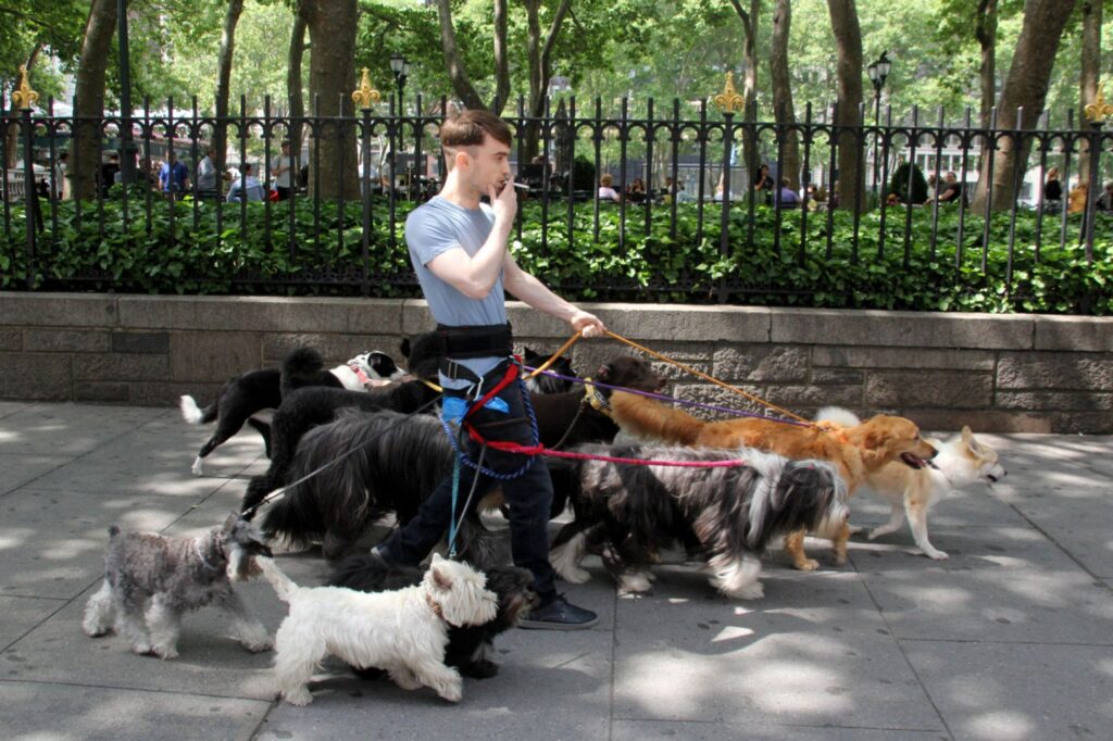 תחושת שייכות ללהקה זה הסוד