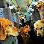 איזה כיף טסים לישראל